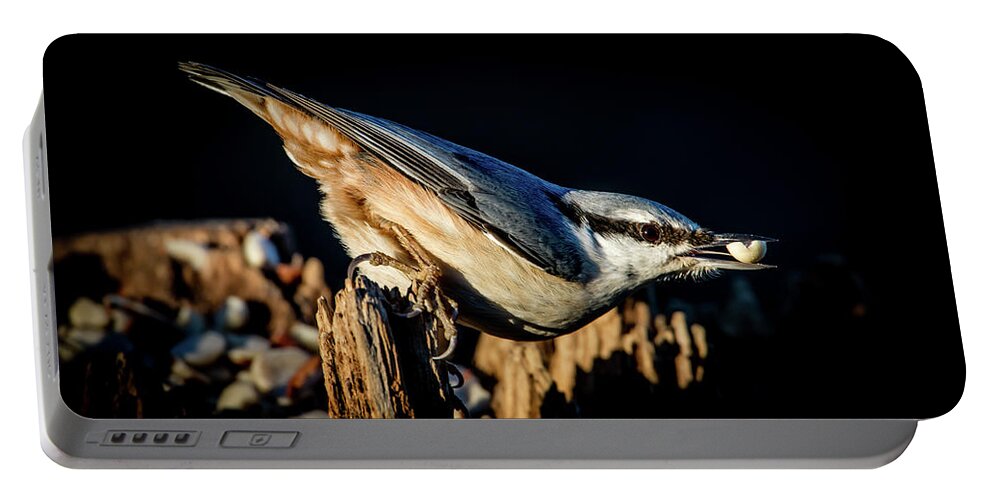 Nuthatch's Nut Portable Battery Charger featuring the photograph Nuthatch with a nut in the beak by Torbjorn Swenelius