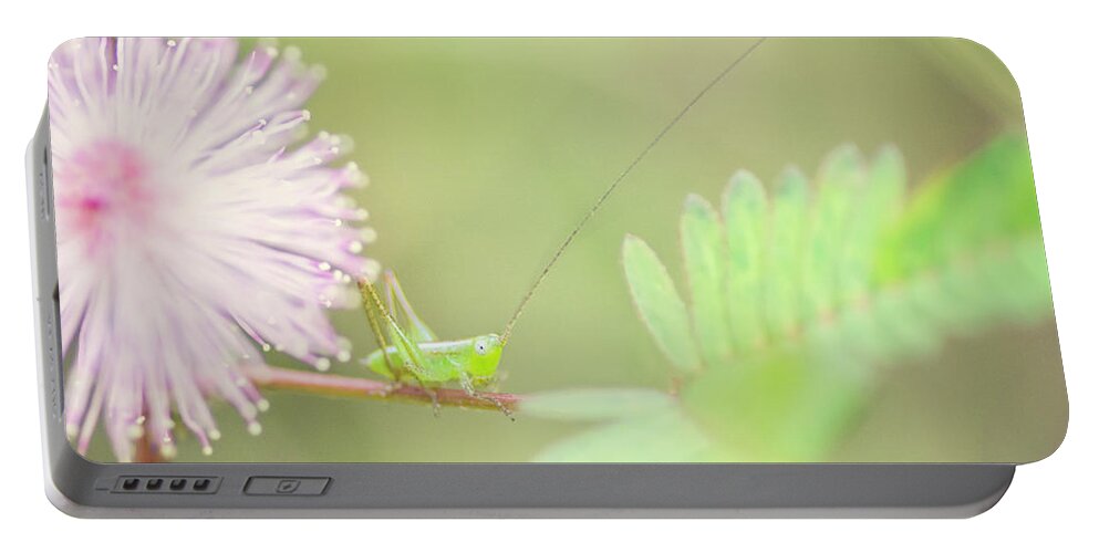 Katydid Portable Battery Charger featuring the photograph Nymph by Heather Applegate