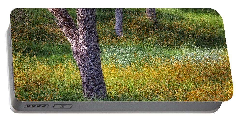 Sierra Portable Battery Charger featuring the photograph Oak and Wildflowers 2 by Anthony Michael Bonafede
