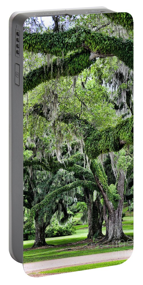 Avery Island Portable Battery Charger featuring the photograph Oak Moss Trees by Chuck Kuhn