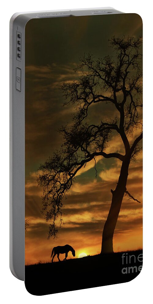 Horse Portable Battery Charger featuring the photograph Oak Tree and Horse Sunrise by Stephanie Laird