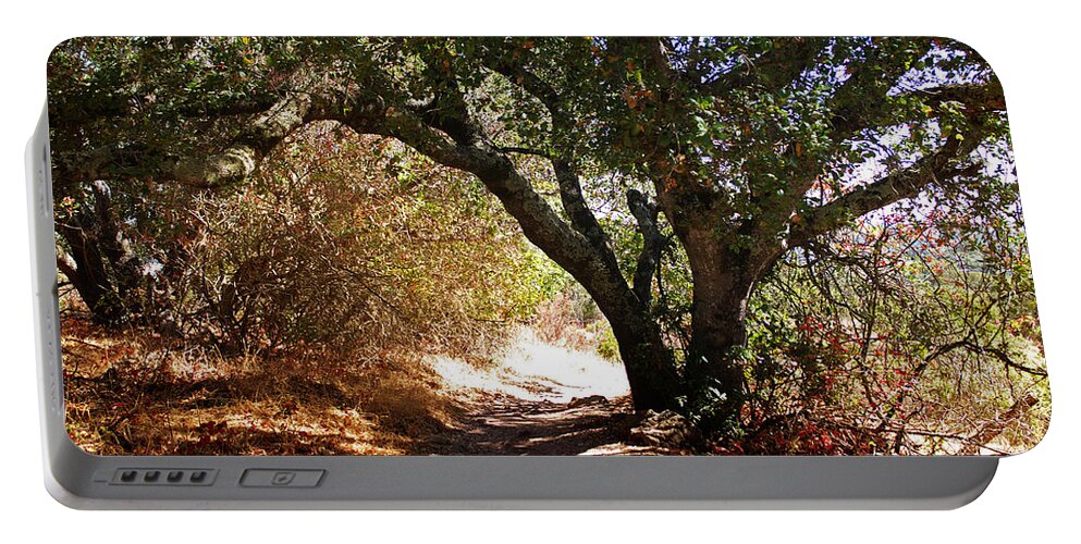 Oak Tree Portable Battery Charger featuring the photograph Oak Tree on Sylvan Trail by Laura Iverson
