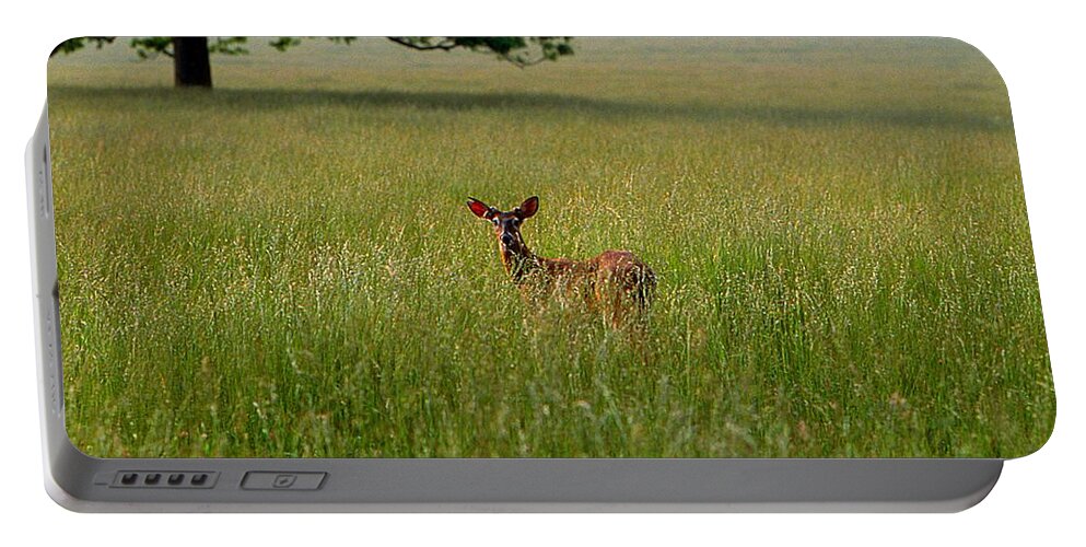 Fine Art Portable Battery Charger featuring the photograph Observer by Rodney Lee Williams