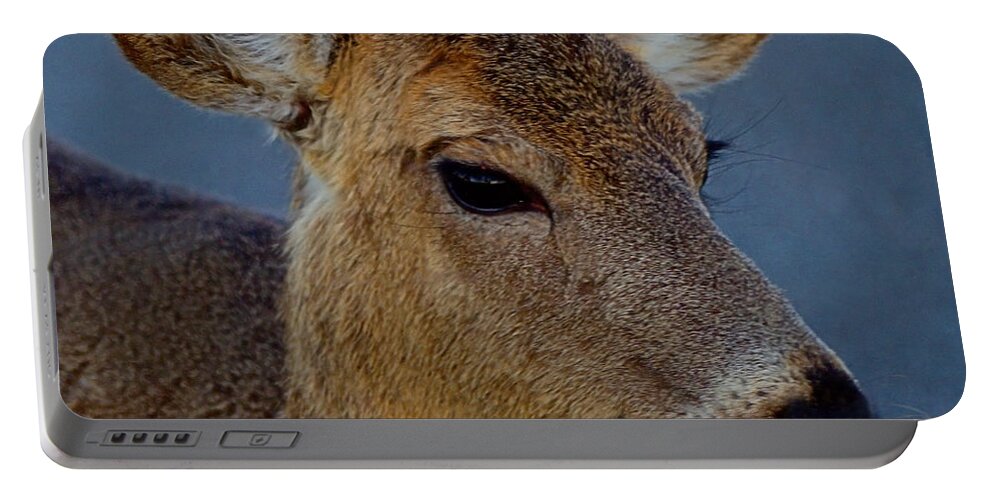 Deer Portable Battery Charger featuring the photograph Ocean Deer I I I by Newwwman
