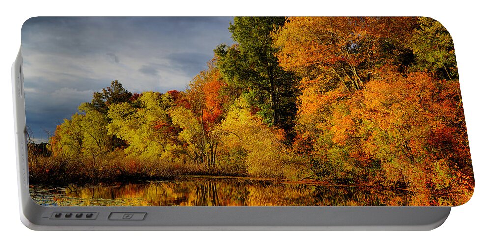 October Portable Battery Charger featuring the photograph October Foliage by Lilia D