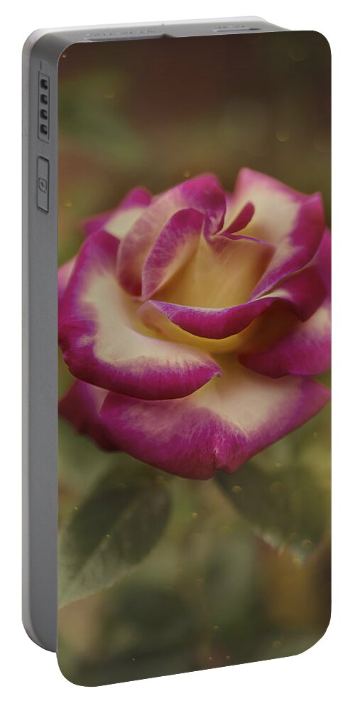 Rose Portable Battery Charger featuring the photograph October Rose by Bill and Linda Tiepelman