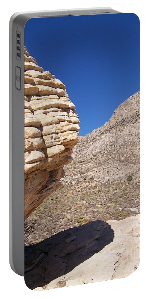 Scenic Portable Battery Charger featuring the photograph Odd Ball by Greg Hammond