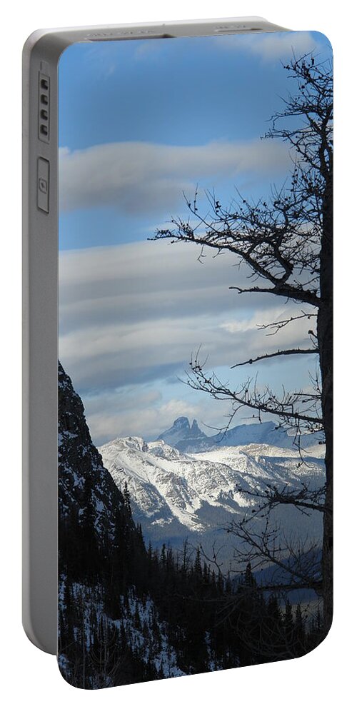 Old Larch Tree Portable Battery Charger featuring the photograph Old Larch Tree Has Best View by Greg Hammond