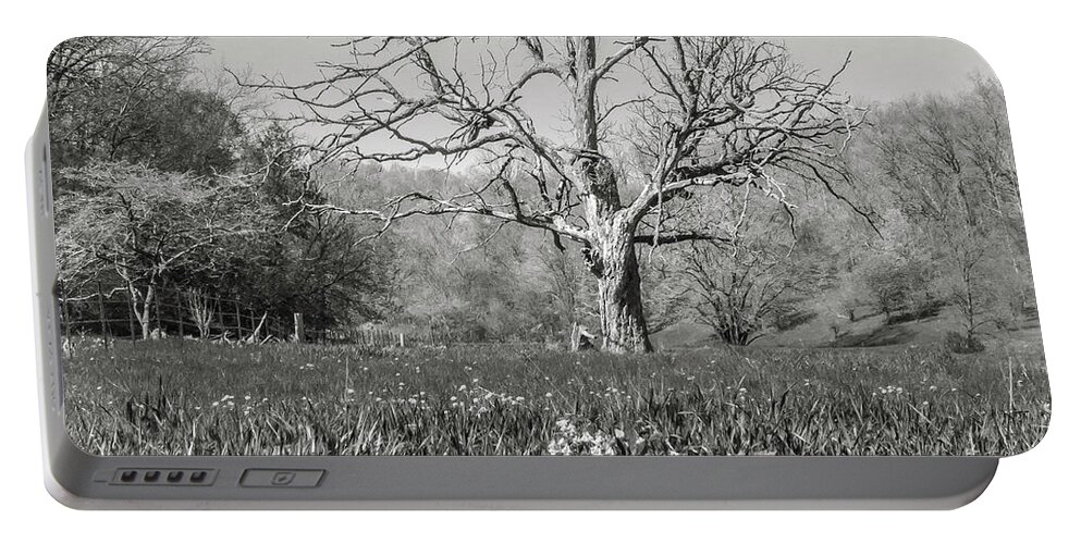5dmkiv Portable Battery Charger featuring the photograph Old Oak by Mark Mille