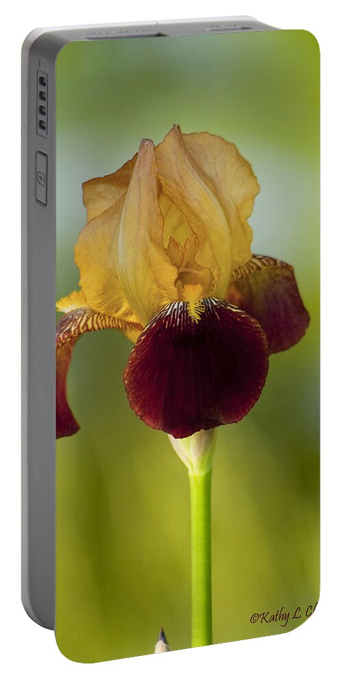 Burgundy Portable Battery Charger featuring the photograph Old Timey Burgundy and Gold Iris by Kathy Clark