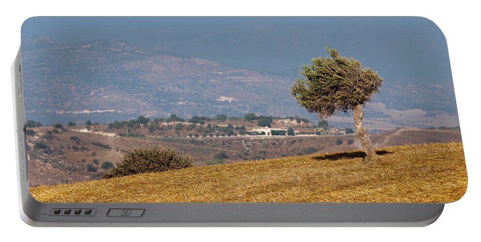 Tree Portable Battery Charger featuring the photograph Olive tree on a wheat field by Michalakis Ppalis