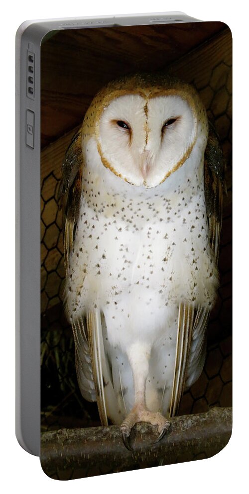Owl Portable Battery Charger featuring the photograph On one leg by Azthet Photography