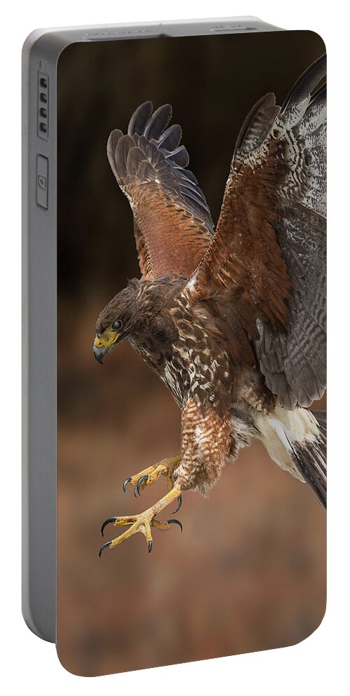 Bird Portable Battery Charger featuring the photograph On Target by Bruce Bonnett