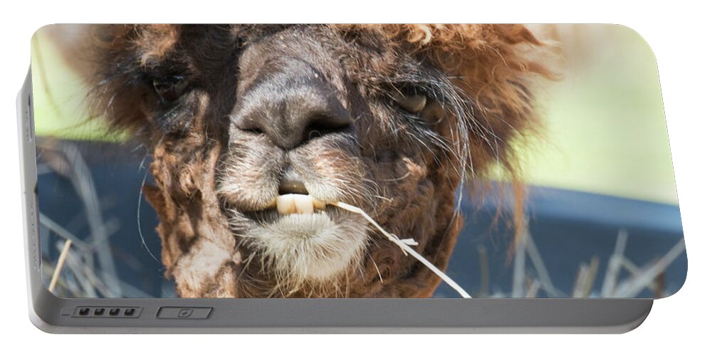 Natanson Portable Battery Charger featuring the photograph On the Farm by Steven Natanson