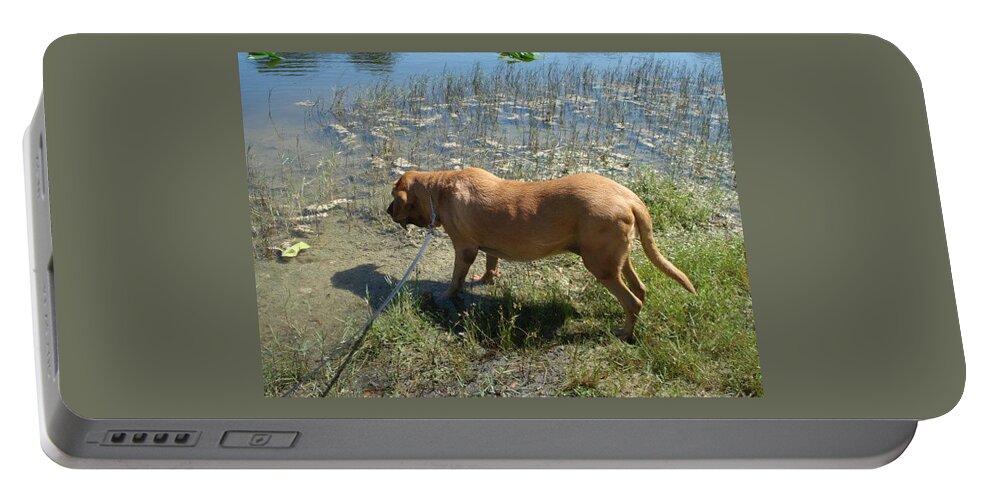 Bloodhound Portable Battery Charger featuring the photograph On the Hunt by Val Oconnor