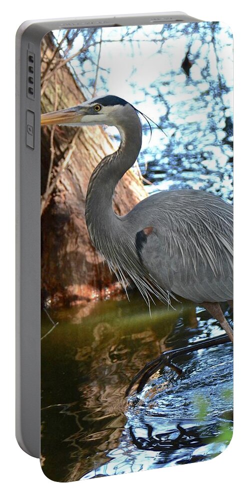 Lake Portable Battery Charger featuring the photograph On The Move by Carol Bradley
