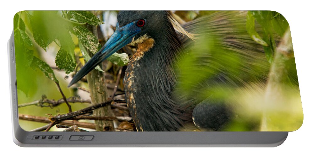 Tri-color Heron Portable Battery Charger featuring the photograph On The Nest by Christopher Holmes