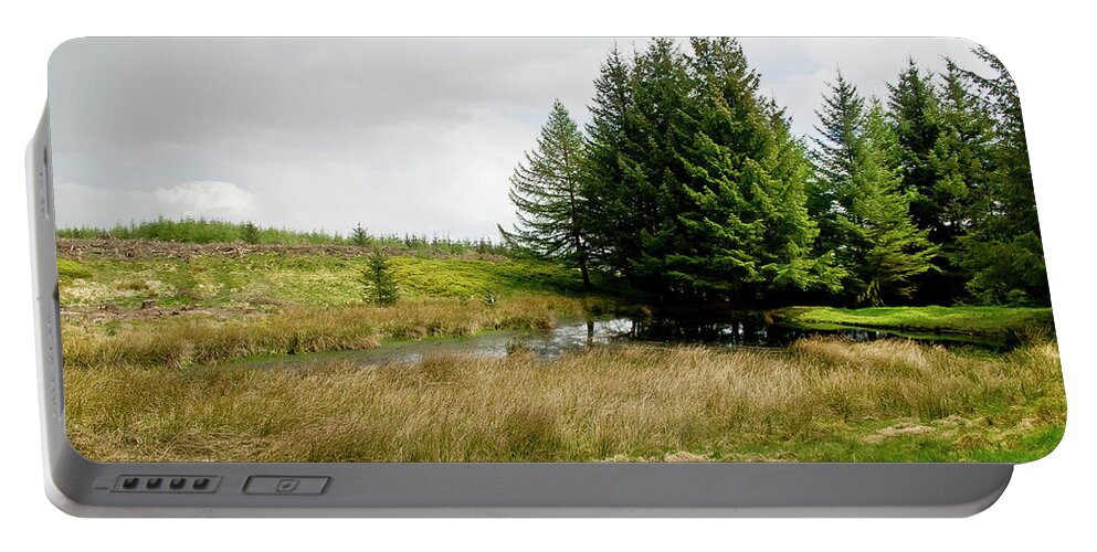 Woods Portable Battery Charger featuring the photograph On the Woodland edge by Elena Perelman