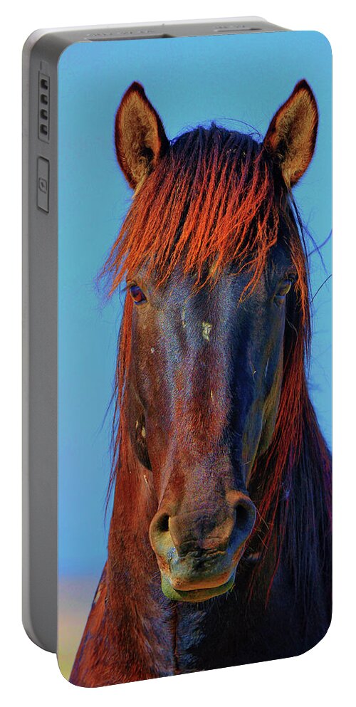 Horse Portable Battery Charger featuring the photograph Onaqui Wild Stallion Portrait by Greg Norrell