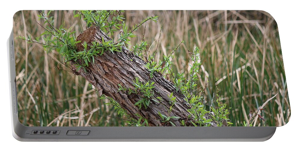 Log Portable Battery Charger featuring the photograph Once Upon a Log by Christy Pooschke