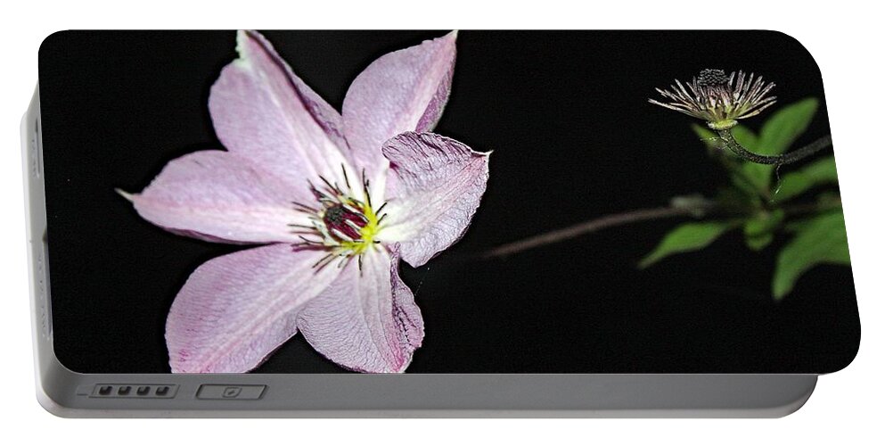 Flower Portable Battery Charger featuring the photograph One Day Too I Will Blossom by Diane Lindon Coy