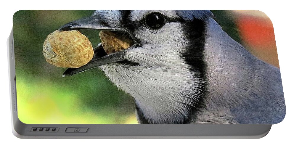 Blue Jay Portable Battery Charger featuring the photograph One for the Road by Linda Stern