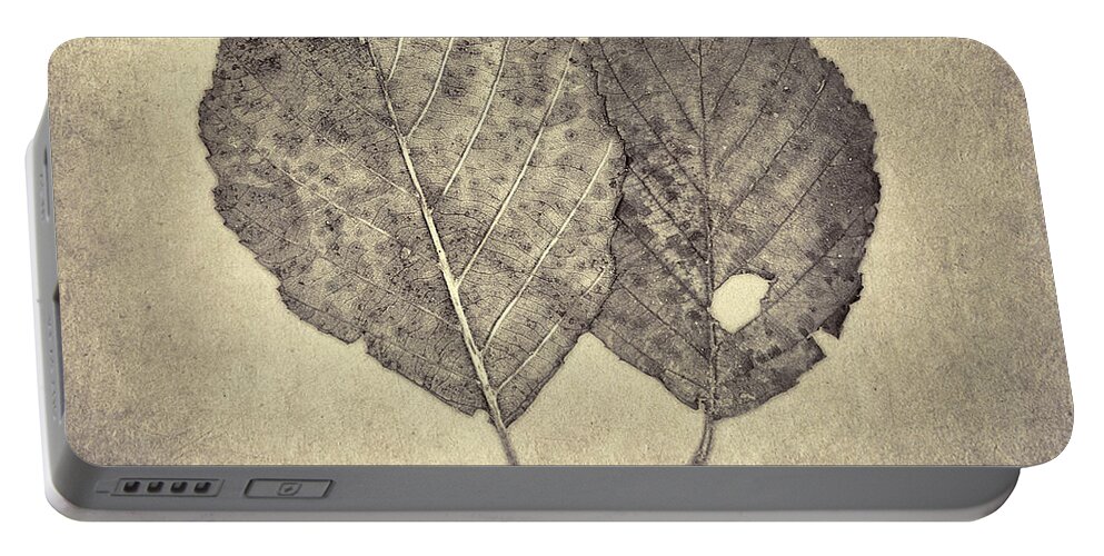 Scott Norris Photography Portable Battery Charger featuring the photograph One Leaf Two Leaf by Scott Norris