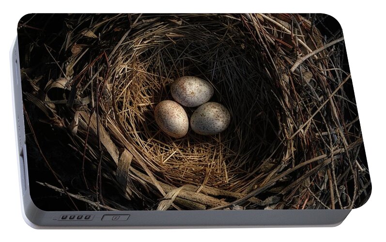 Egg Portable Battery Charger featuring the photograph One of the most private things in the world is an egg until it is broken MFK Fisher by Mark Fuller