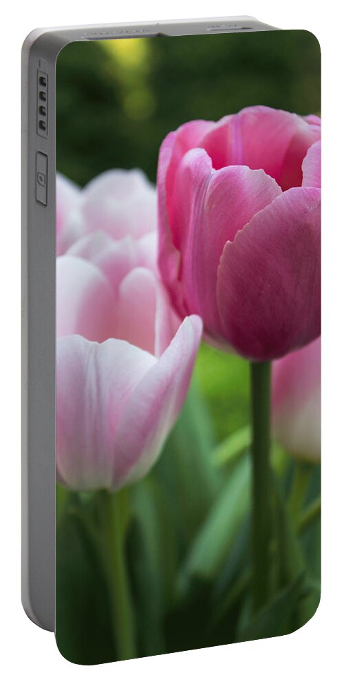 Tulip Portable Battery Charger featuring the photograph One Stands Out by Arlene Carmel