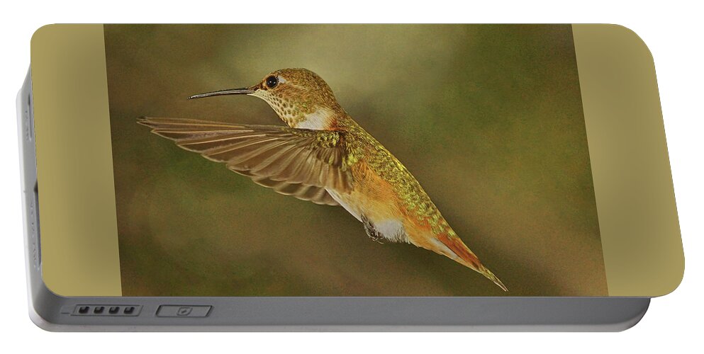 Rufous Hummingbird Portable Battery Charger featuring the photograph Only for a Moment by Theo O'Connor