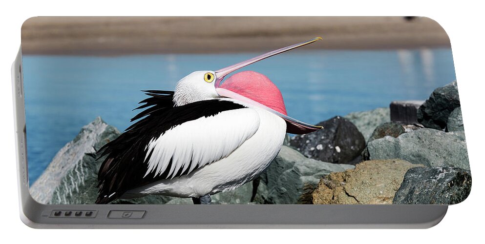 Pelicans Portable Battery Charger featuring the digital art Open wide 61063 by Kevin Chippindall