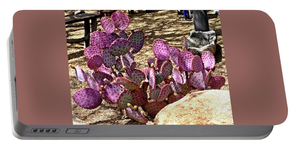 Garden Portable Battery Charger featuring the photograph Opuntia Chisoensis Cactus by Jay Milo