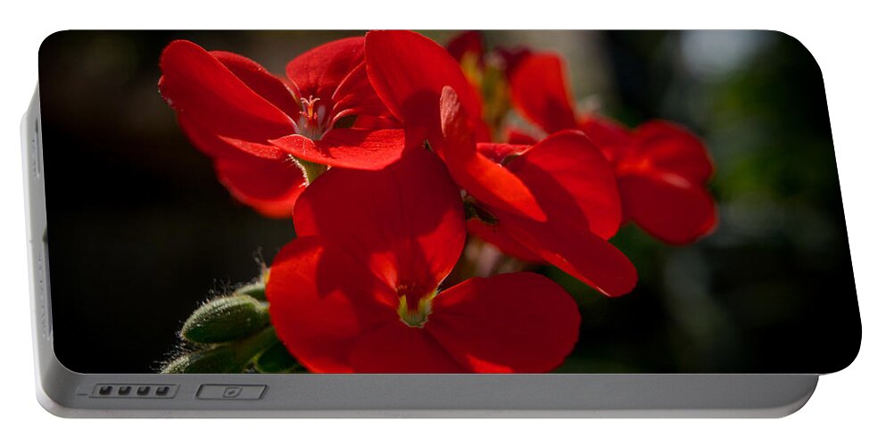 Flower Portable Battery Charger featuring the photograph Orange Beauty by Derek Dean