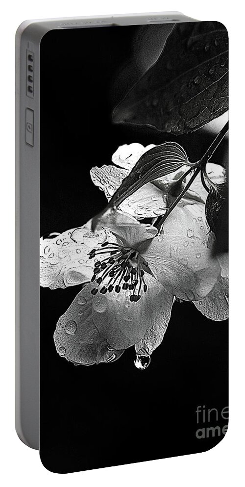 Flower Portable Battery Charger featuring the photograph Orange Blossom by Elaine Hunter