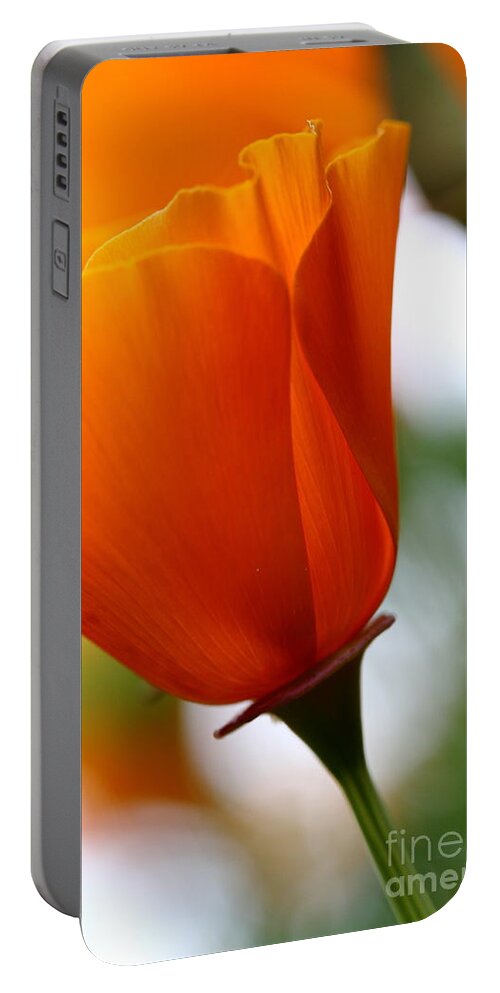 Flower Portable Battery Charger featuring the photograph Orange California Poppy . 7D14789 by Wingsdomain Art and Photography