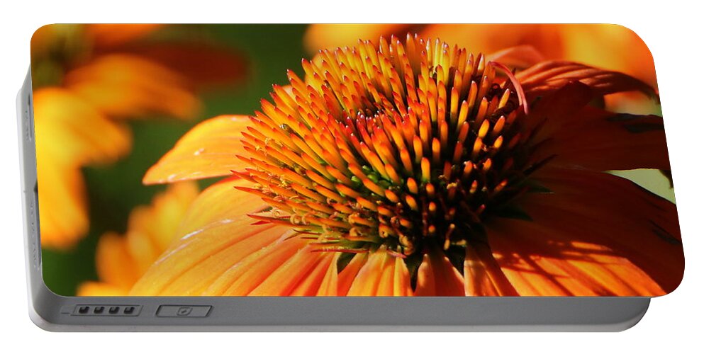 Nature Portable Battery Charger featuring the photograph Orange Coneflower at First Light by Sheila Brown