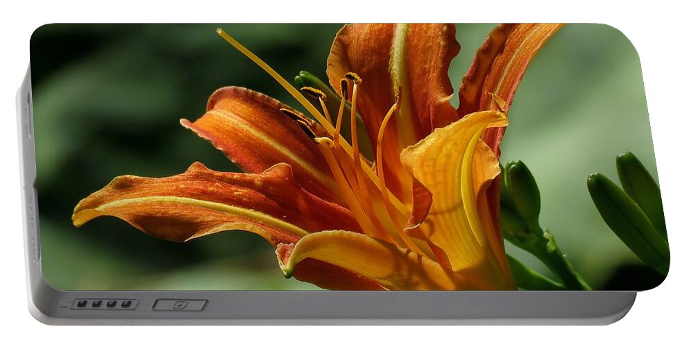 Daylily Portable Battery Charger featuring the photograph Orange Daylily by John Topman