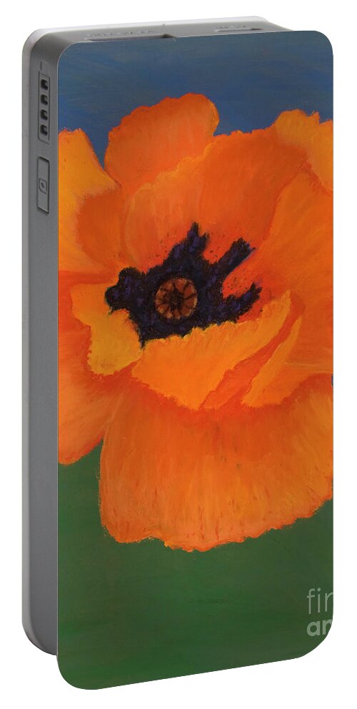 Orange Portable Battery Charger featuring the photograph Orange Deluxe by Ginny Neece