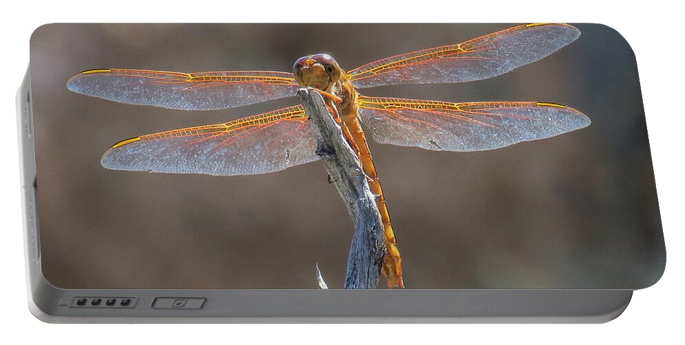 Nature Portable Battery Charger featuring the photograph Dragonfly 3 by Christy Garavetto