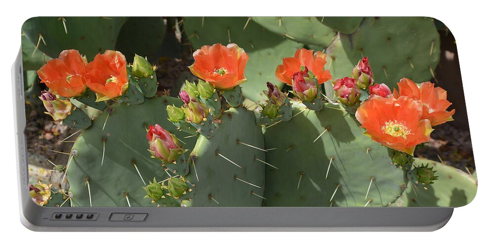 Cactus Portable Battery Charger featuring the photograph Orange Dream Cactus by Aimee L Maher ALM GALLERY