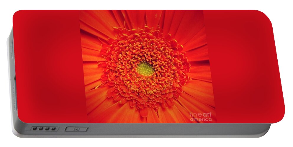 Flower Portable Battery Charger featuring the photograph Orange for Andy by Denise Railey
