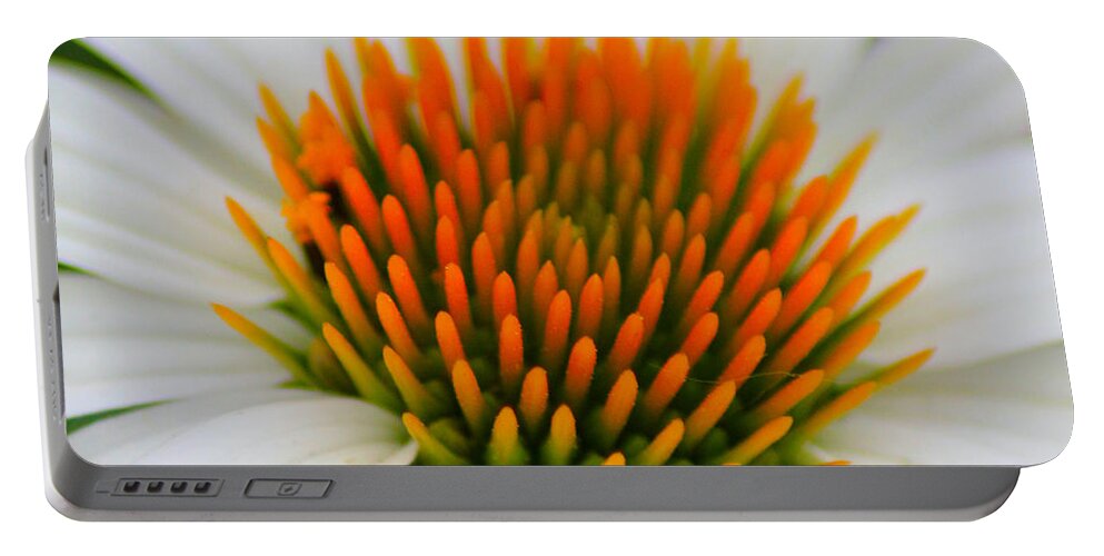 Flower Portable Battery Charger featuring the photograph Orange Glow by Karen Wagner