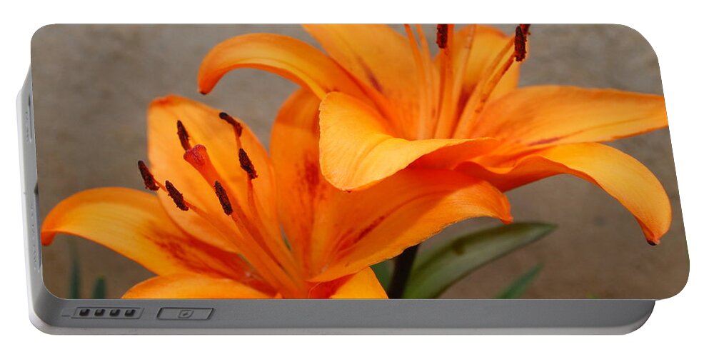 Flower Portable Battery Charger featuring the photograph Orange Lilies 2 by Amy Fose