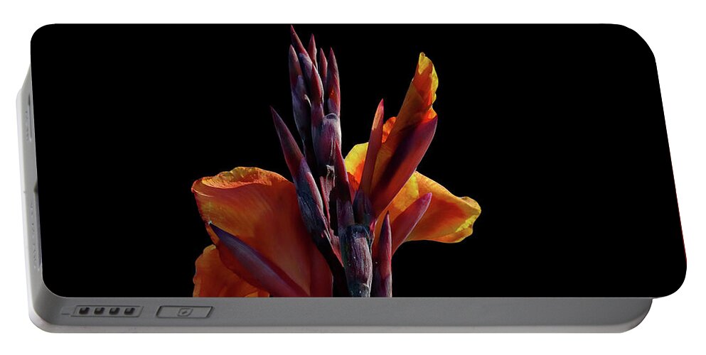 Flower Portable Battery Charger featuring the photograph Orange on Black by Rick Lawler
