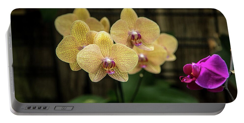 Allan Portable Battery Charger featuring the photograph Orange Orchids by Ross Henton