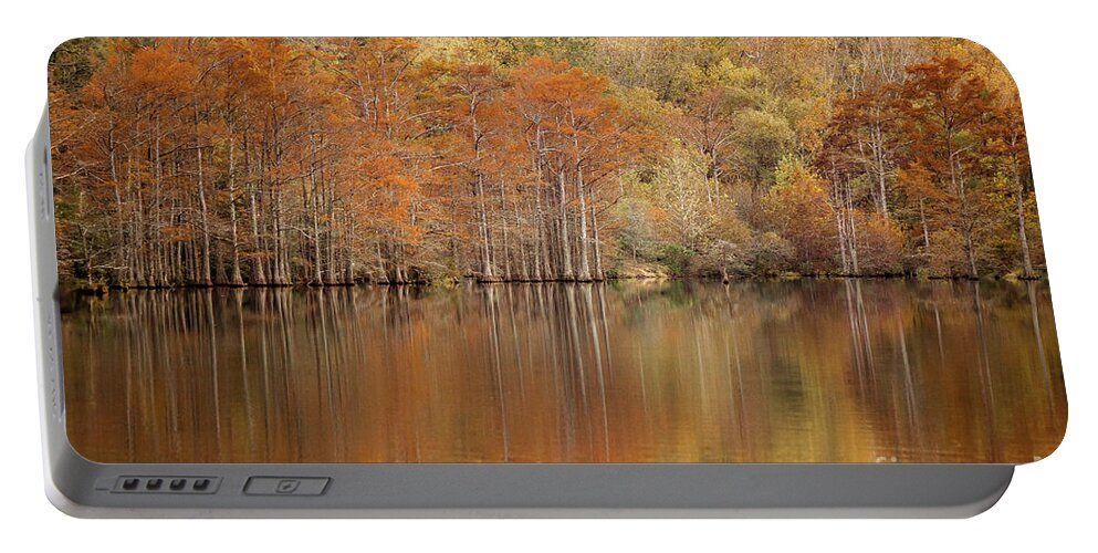 Cypress Trees Portable Battery Charger featuring the photograph Orange Pool by Iris Greenwell