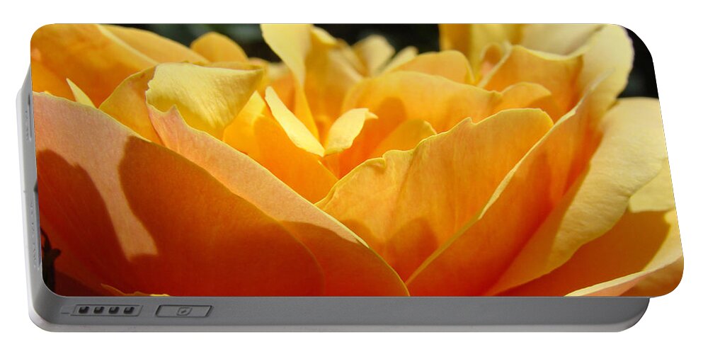 Rose Portable Battery Charger featuring the photograph Orange Rose Art Prints Baslee Troutman by Patti Baslee