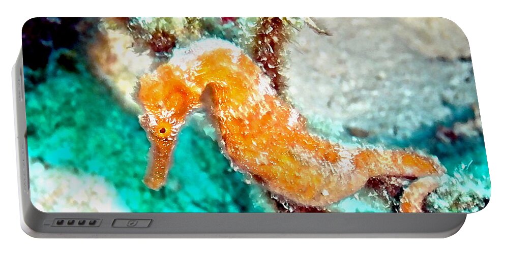 Sea Horse Portable Battery Charger featuring the photograph Orange Sea Horse by Amy McDaniel