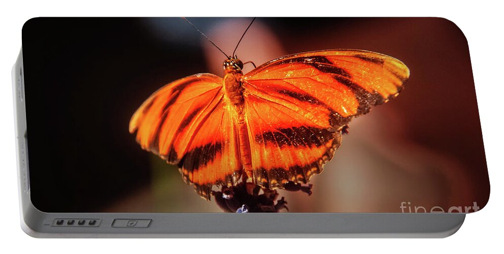 Butterfly Portable Battery Charger featuring the photograph Orange Tiger Butterfly by Robert Bales