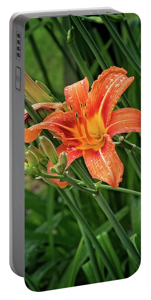 Orange Tiger Lily Portrait Portable Battery Charger featuring the photograph Orange Tiger Lily Portrait by Gwen Gibson